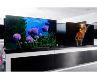 LG OLED55B13LA - 635941 - zdjęcie 8